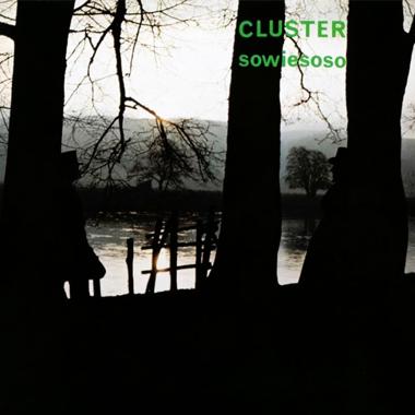 Cluster -  Sowiesoso